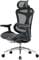 Фото - Кресло офисное Sihoo Doro C300L Mesh Black (DORO-C300L-A3-101) | click.ua