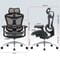 Фото - Кресло офисное Sihoo Doro C300L Mesh Black (DORO-C300L-A3-101) | click.ua