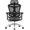 Фото - Кресло офисное Sihoo Doro C300L Mesh Black (DORO-C300L-A3-101) | click.ua
