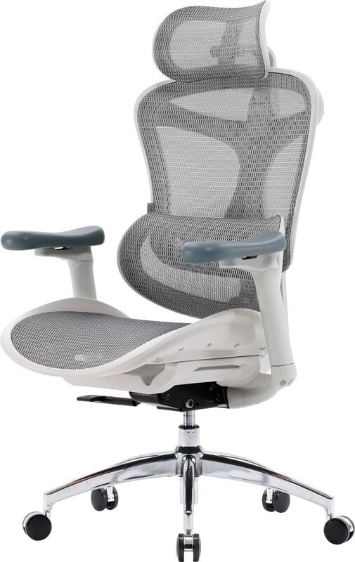 Крісло офісне Sihoo Doro C300L Mesh White DORO-C300L-A3-102)
