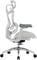 Фото - Крісло офісне Sihoo Doro C300L Mesh White DORO-C300L-A3-102) | click.ua