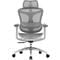 Фото - Крісло офісне Sihoo Doro C300L Mesh White DORO-C300L-A3-102) | click.ua
