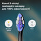 Фото - Насадка для зубної щітки Philips HX6054/88 | click.ua