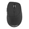 Фото - Мышь Esperanza EM123K Black | click.ua