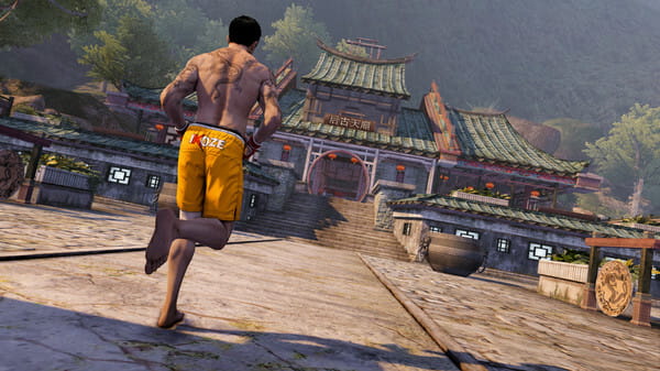Игра Sleeping Dogs Definitive Edition для PlayStation 4, Blu-ray (SDOGD4EN0)