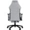 Фото - Кресло для геймеров Anda Seat Luna Pro Size L Gray Fabric (AD18T-44-G-F) | click.ua