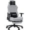 Фото - Кресло для геймеров Anda Seat Luna Pro Size L Gray Fabric (AD18T-44-G-F) | click.ua