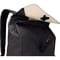 Фото - Рюкзак Thule Lithos 16L TLBP213 Black (3204832) | click.ua