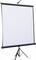 Фото - Проекційний екран Atria 136" (244x244, 1:1) (ECO TRM-AV-96) | click.ua