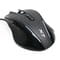 Фото - Миша A4Tech X87 Oscar Neon Black USB | click.ua