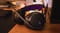 Фото - Bluetooth-гарнитура JBL Quantum 650 Black (JBLQTUM650BLK) | click.ua