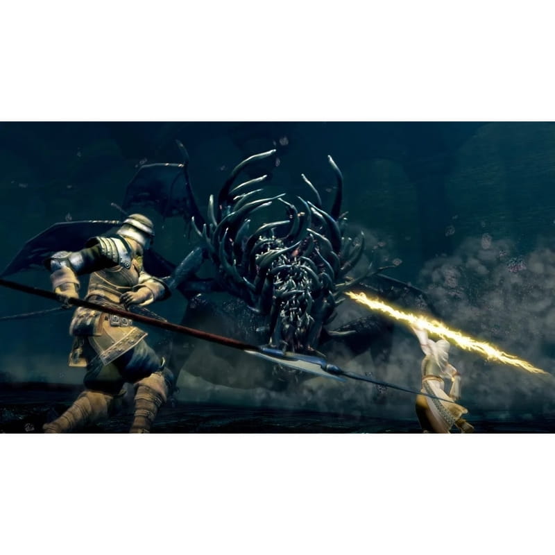 Гра Dark Souls: Remastered для Nintendo Switch (45496421892)
