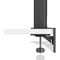 Фото - Монитор BenQ 31.5" RD320UA (9H.LMTLA.TBE) IPS Metallic Grey | click.ua