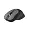 Фото - Миша бездротова OfficePro M520B Black | click.ua
