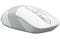 Фото - Миша бездротова A4Tech FG10 White USB | click.ua