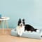 Фото - Лежак для котів і собак Petkit Four Season Sleep Bed Large (P7110 L) | click.ua