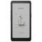 Фото - Електронна книга BOOX Palma 2 Pro Black | click.ua
