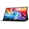 Фото - Монітор Acer 15.6" PM161QTbmiuuux (UM.ZP1EE.007) IPS Black 100Hz | click.ua
