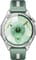Фото - Смарт-часы Huawei Watch GT 6 46mm Steel with Green Woven Strap (55020FTV) | click.ua
