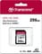 Фото - Карта пам`яті SDXC 256GB UHS-I/U3 Class 10 Transcend Ultra Performance 340S (TS256GSDC340S) | click.ua