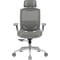 Фото - Крісло для геймерів Cougar Speeder One White | click.ua