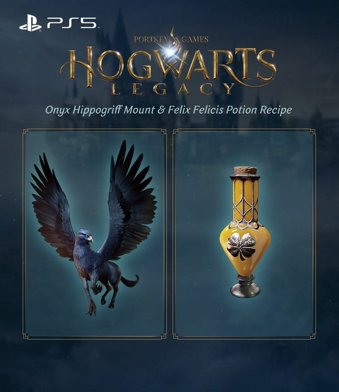 Гра Hogwarts Legacy для PlayStation 5, Blu-ray (1194246)