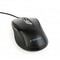 Фото - Мышь Gembird MUS-6B-01 Black | click.ua