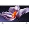Фото - Телевізор Xiaomi TV S Pro Mini LED 55 | click.ua