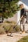 Фото - Пылесос Karcher WD 3 V-17/4/20 (1.628-130.0) | click.ua