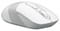 Фото - Миша бездротова A4Tech FG10S White USB | click.ua