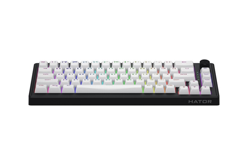 Клавиатура Hator Skyfall 65 MAG Ultra 8K Black/White (HTK1860UA)