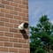 Фото - IP-камера Tesla Smart Camera Outdoor 2022 (TSL-CAM-BULLET8S) | click.ua