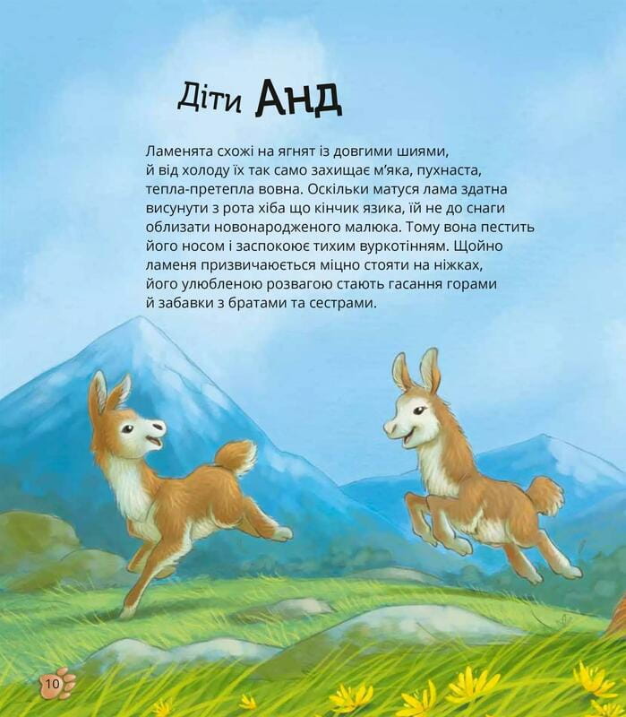 Наймиліші малюки тварин / Алехандро Альґара