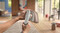 Фото - Отпариватель Philips GC213/10 | click.ua