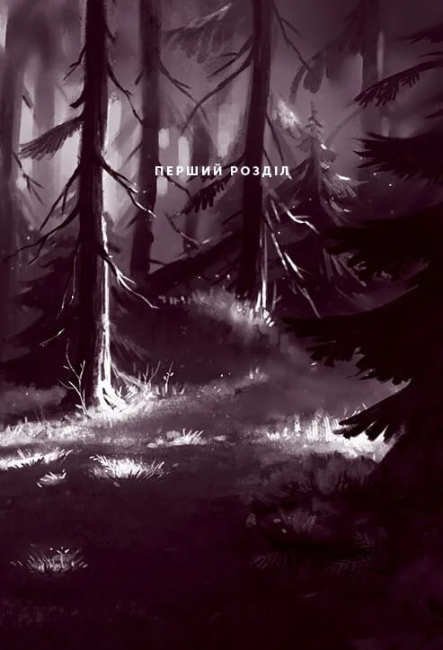 Північне сяйво. Книга 2: Вікінги й Оракул / Малін Фалк