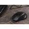Фото - Миша бездротова 2E MF213 WL Black (2E-MF213WB) | click.ua
