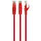 Фото - Патч-корд UTP Cablexpert (PP6U-0.25M/R) cat.6, літий, 50u штекер із засувкою, 0.25 м, червоний | click.ua