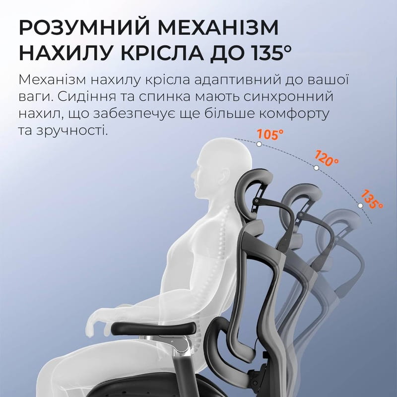 Кресло офисное Sihoo Doro C300 Pro Mesh Black with footrest (Doro-C300-Pro-M101-JT)