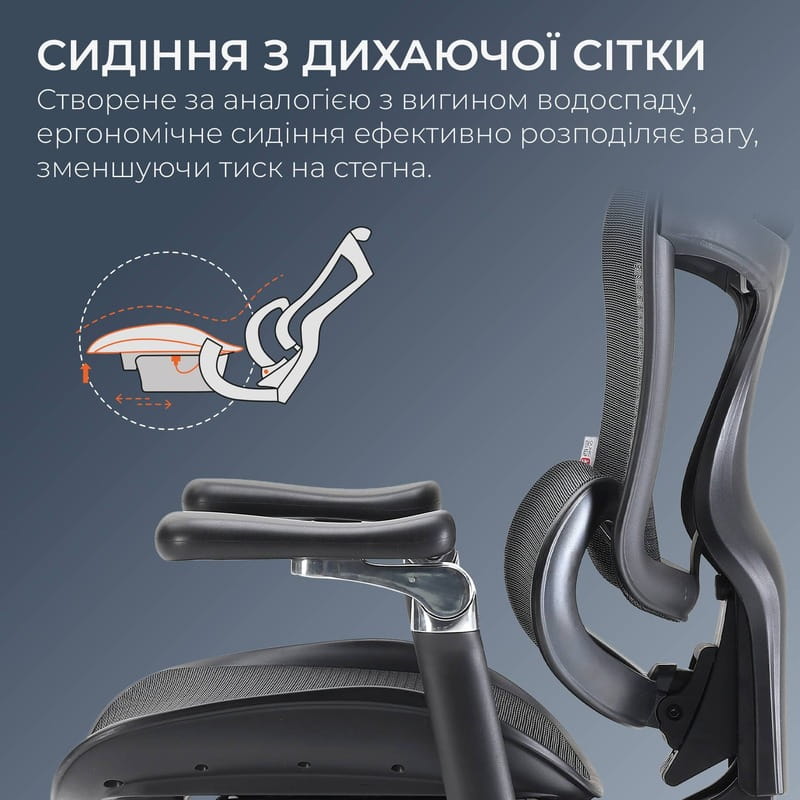 Кресло офисное Sihoo Doro C300 Pro Mesh Black with footrest (Doro-C300-Pro-M101-JT)