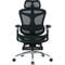 Фото - Кресло офисное Sihoo Doro C300 Pro Mesh Black with footrest (Doro-C300-Pro-M101-JT) | click.ua