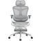 Фото - Крісло офісне Sihoo Doro C300 Pro Mesh White with footrest (Doro-C300-Pro-M102-JT) | click.ua