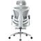 Фото - Крісло офісне Sihoo Doro C300 Pro Mesh White with footrest (Doro-C300-Pro-M102-JT) | click.ua