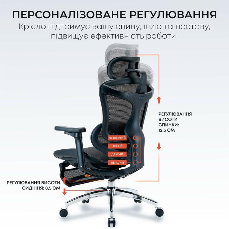 Кресло офисное Sihoo Doro C300L Mesh Black with footrest (Doro-C300L-A3-101-JT)