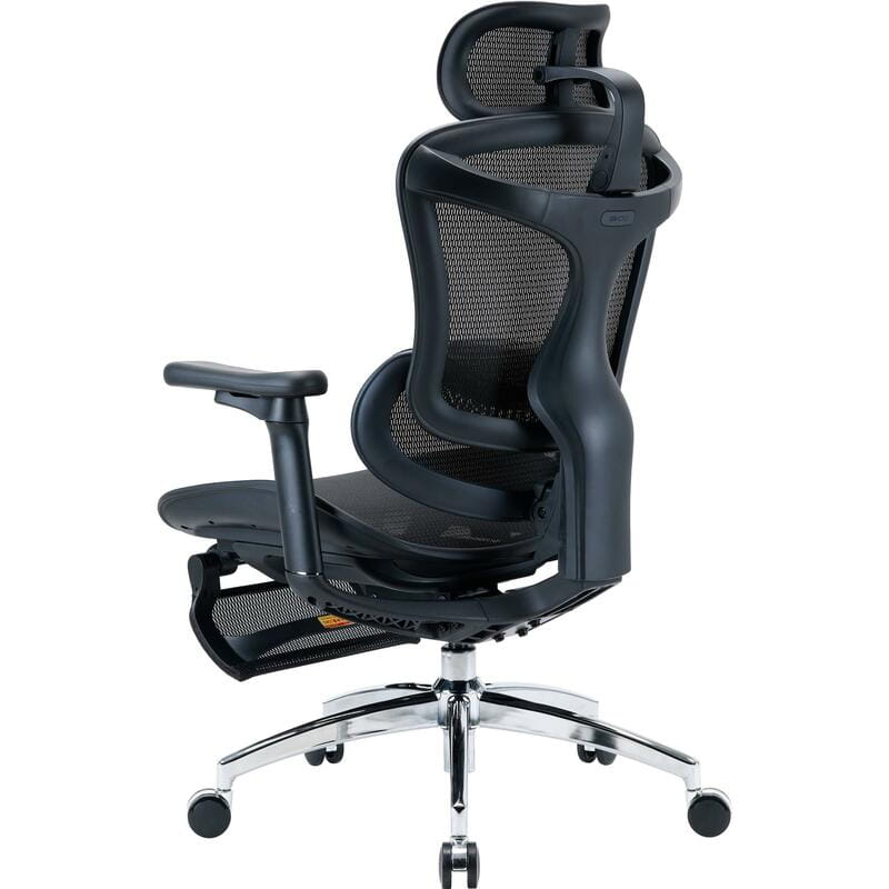 Кресло офисное Sihoo Doro C300L Mesh Black with footrest (Doro-C300L-A3-101-JT)