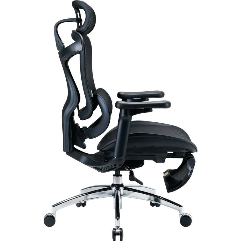 Кресло офисное Sihoo Doro C300L Mesh Black with footrest (Doro-C300L-A3-101-JT)