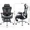 Фото - Кресло офисное Sihoo Doro C300L Mesh Black with footrest (Doro-C300L-A3-101-JT) | click.ua