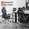 Фото - Кресло офисное Sihoo Doro C300L Mesh Black with footrest (Doro-C300L-A3-101-JT) | click.ua
