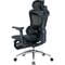 Фото - Кресло офисное Sihoo Doro C300L Mesh Black with footrest (Doro-C300L-A3-101-JT) | click.ua