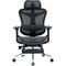 Фото - Кресло офисное Sihoo Doro C300L Mesh Black with footrest (Doro-C300L-A3-101-JT) | click.ua
