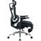 Фото - Кресло офисное Sihoo Doro C300L Mesh Black with footrest (Doro-C300L-A3-101-JT) | click.ua